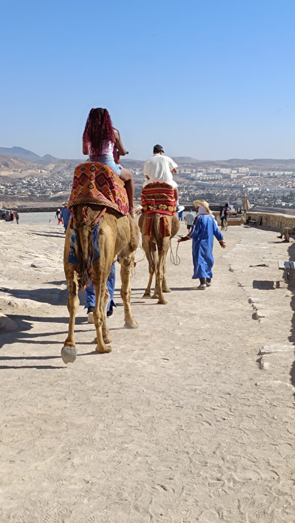 img 20250120 122849 img 20250120 122849